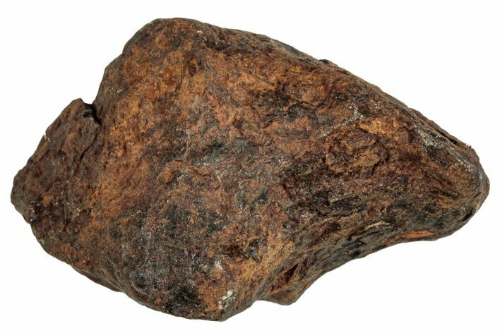 Agoudal Iron Meteorite ( g) - Morocco #288890